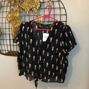 Cropped cactus top